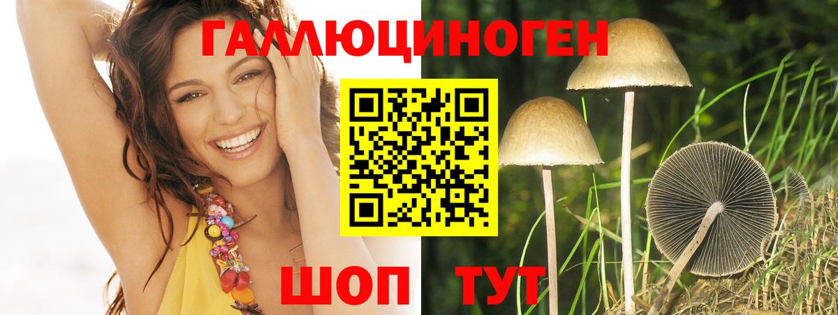 Галлюциногенные грибы Psilocybine cubensis  Псилоцибиновые грибы ЛСД  Отрадное  Вход с VPN 